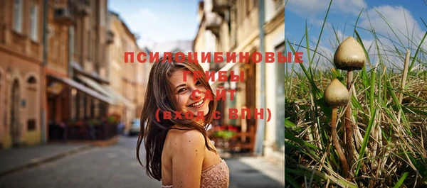 каннабис Волоколамск