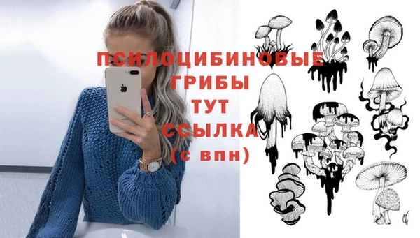 соль ск Володарск